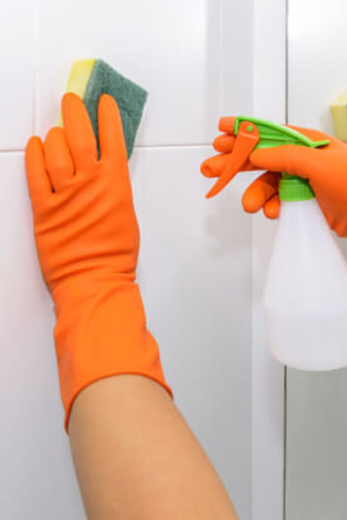 Mould Removal Brisbane